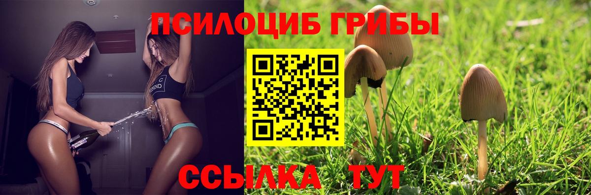купить наркотики сайты  Псилоцибиновые грибы мухоморы  Вход с VPN  Фрязино  Галлюциногенные грибы мухоморы 